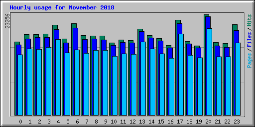 Hourly usage for November 2018