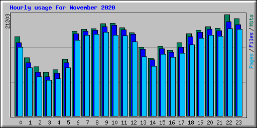 Hourly usage for November 2020