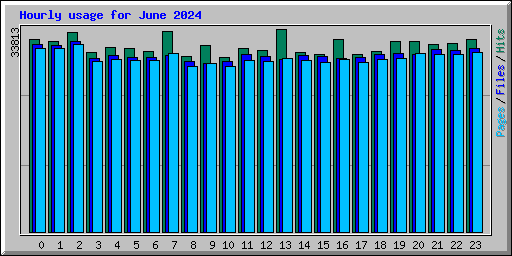 Hourly usage for June 2024