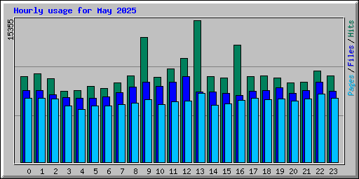 Hourly usage for May 2025