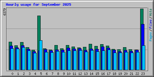Hourly usage for September 2025