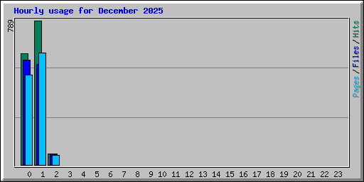 Hourly usage for December 2025