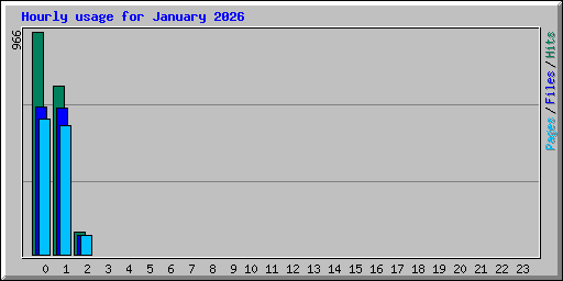 Hourly usage for January 2026