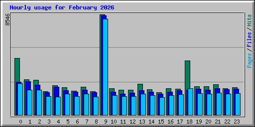 Hourly usage for February 2026