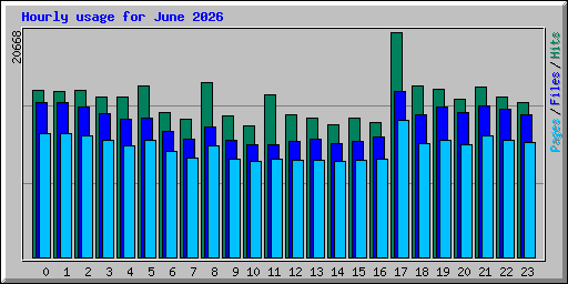 Hourly usage for June 2026